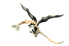 fantasy art, dragons and wizards, dwarves and elves, skye dragons